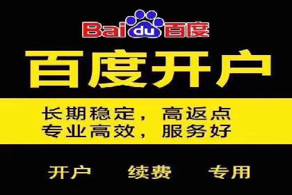 揭秘sem百度竞价背后的成功秘诀与案例